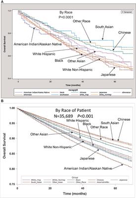 The Role of Race and Economic Characteristics in the Presentation and Survival of Patients With Surgically Resected Non-Small Cell Lung Cancer